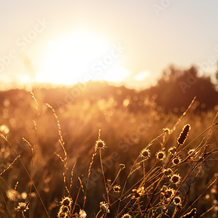 EMDR therapy in Edmonds, WA